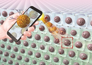 Image showing the pattern recognition mechanisms for cancer cells