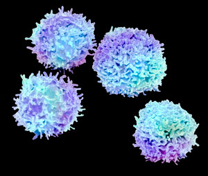 Image of T-cell 
