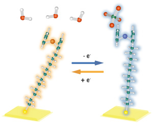 Figure showing the strucre of ferrocene-tipped molecule