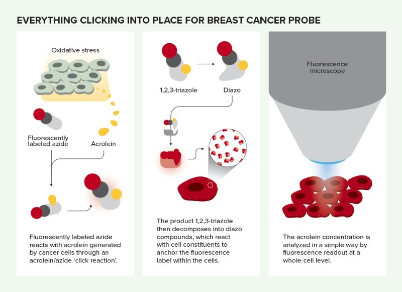 Schematic introducing methods for cancer detection