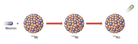 Schematic of nucleosynthesis