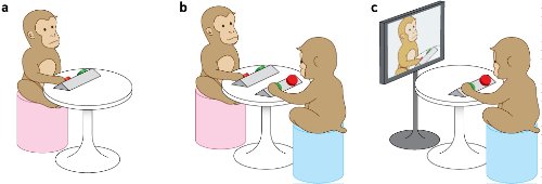 Illustration of the experiment