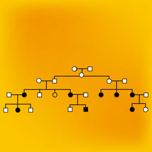 Image of the family tree of the disease