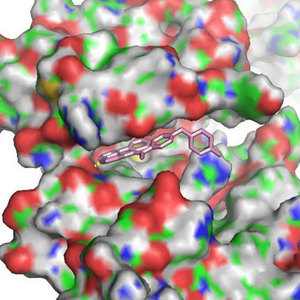 Image of protein structure