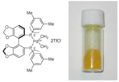 Image and structure of the chiral Pd(II) complex