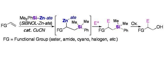 Scheme of regio- and chemoselective silylation
