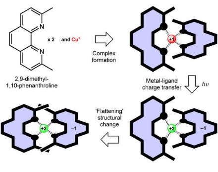 image of formation and structural dynamics of a metal-ligand complex
