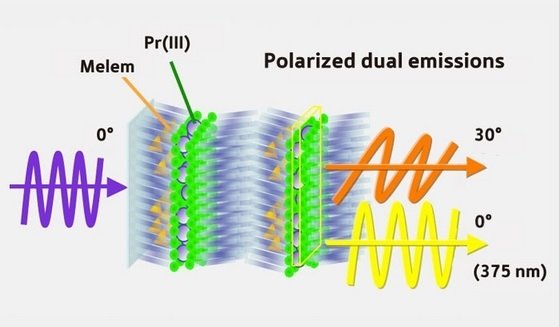 Schematic showing the interactions between praseodymium and melem