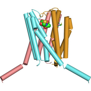 Image showing the crystal structure of leukotriene C4 synthase