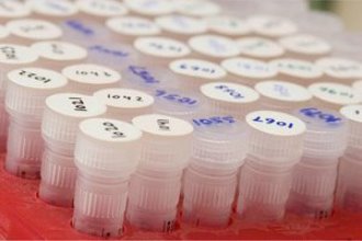 Image of test tubes