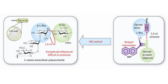 Schematic of the intramolecular aglycon delivery (IAD)