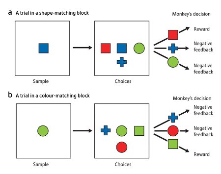 Schematic showing the Wisconsin Card Sorting Test