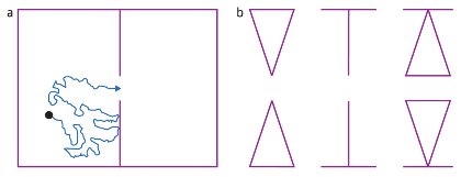 Illustration of stochastic resonance