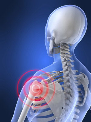 Image of human skeleton