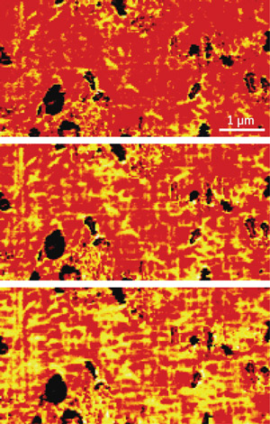 Image obtained with the magnetic impedance microscopy