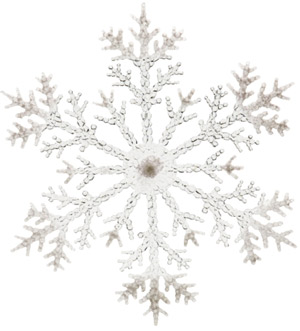 Image of a snowflake