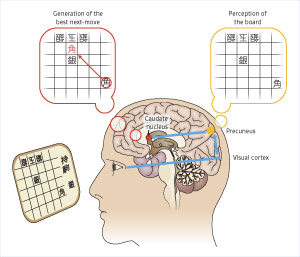 Diagram showing the process of pattern recognition in the brain