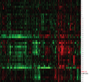 Image of a heat map