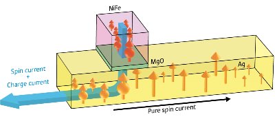 Schematic diagram of LSVs