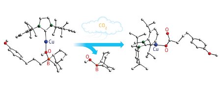 Schematic of the carbon dioxide fixation