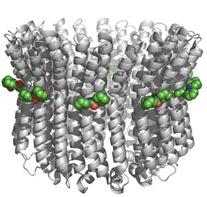 Image showing the structure of V-ATPase