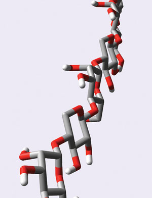 Image showing the structure of xylomannan