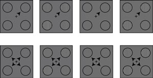 Image of the contrast discrimination task