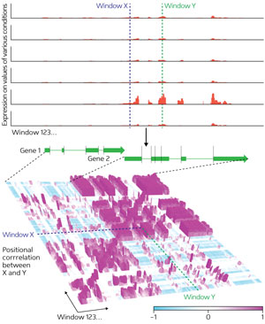 Image of expression data