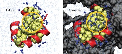 Image of proteins
