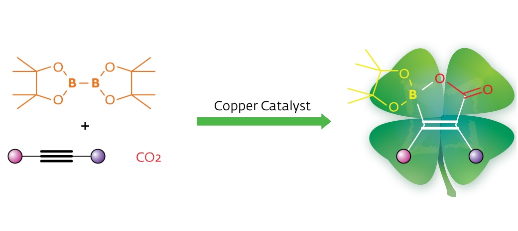 Schematic showing the reaction of copper catalyist