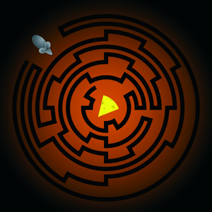 Image of a maze