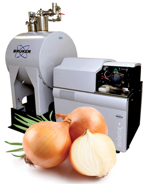 Image of onions and the FT-ICR mass spectrometer