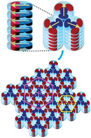 Image of disc-shaped liquid crystals