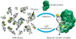Scheme to generate artificial base-containing DNA aptamers