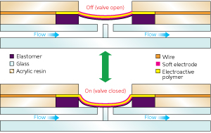 Image of a polymer valve Image of a polymer valve