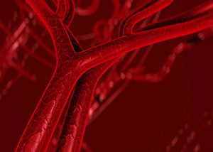 Image of blood vessels