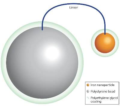 Schematic of an iron nanoparticle
