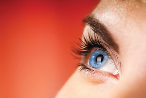Image of an eye