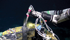 Image of the robotic system