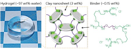 Image of free-standing hydrogels