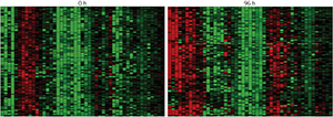 Image of analiysis of gene expression