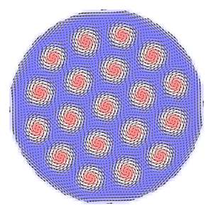 Image of skyrmions