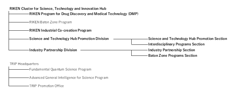 Organization chart before the change