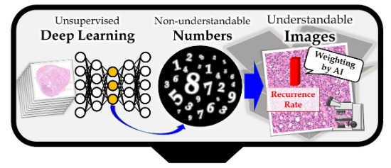 Illustration showing structure of the disk