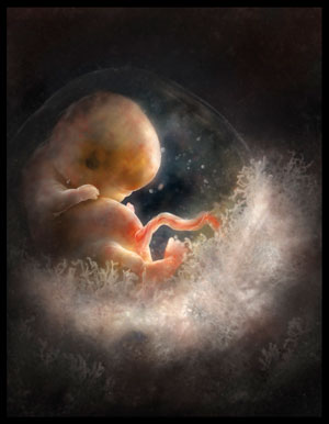 image of an embryo