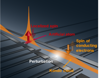 Diagram showing the outline of the experiment