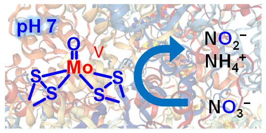 Image showing the catalyst and process