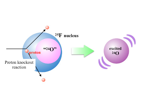 Image showing the knockout reaction