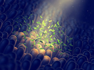 Image of bacteria