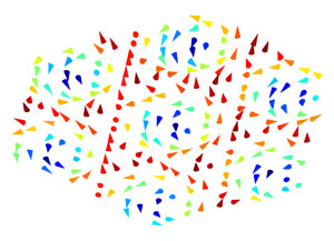 Image of a nanoscale skyrmion lattice